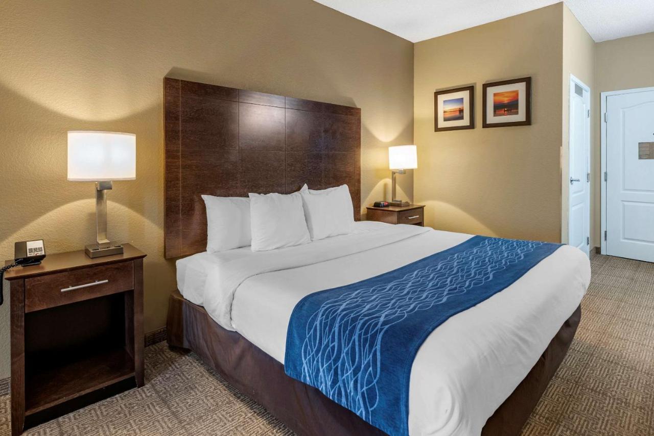 Comfort Inn & Suites Bryant - Benton Exteriör bild